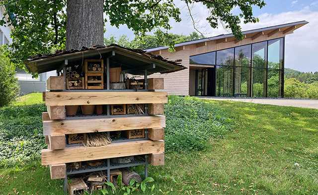 持続可能な地域環境の発展　自然との共生を考える