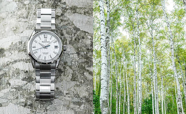 日本一美しい白樺林を後世に残すための平庭高原の保護活動